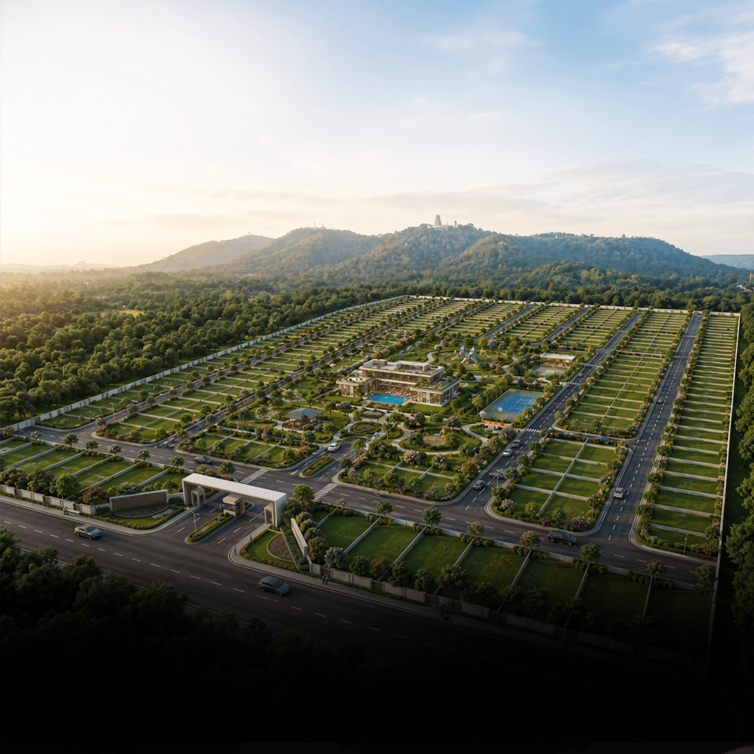 Aerial view of the community